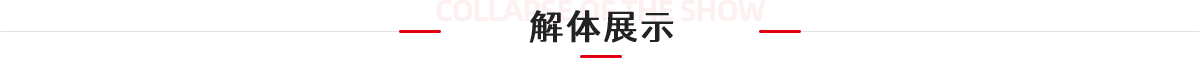 解体展示